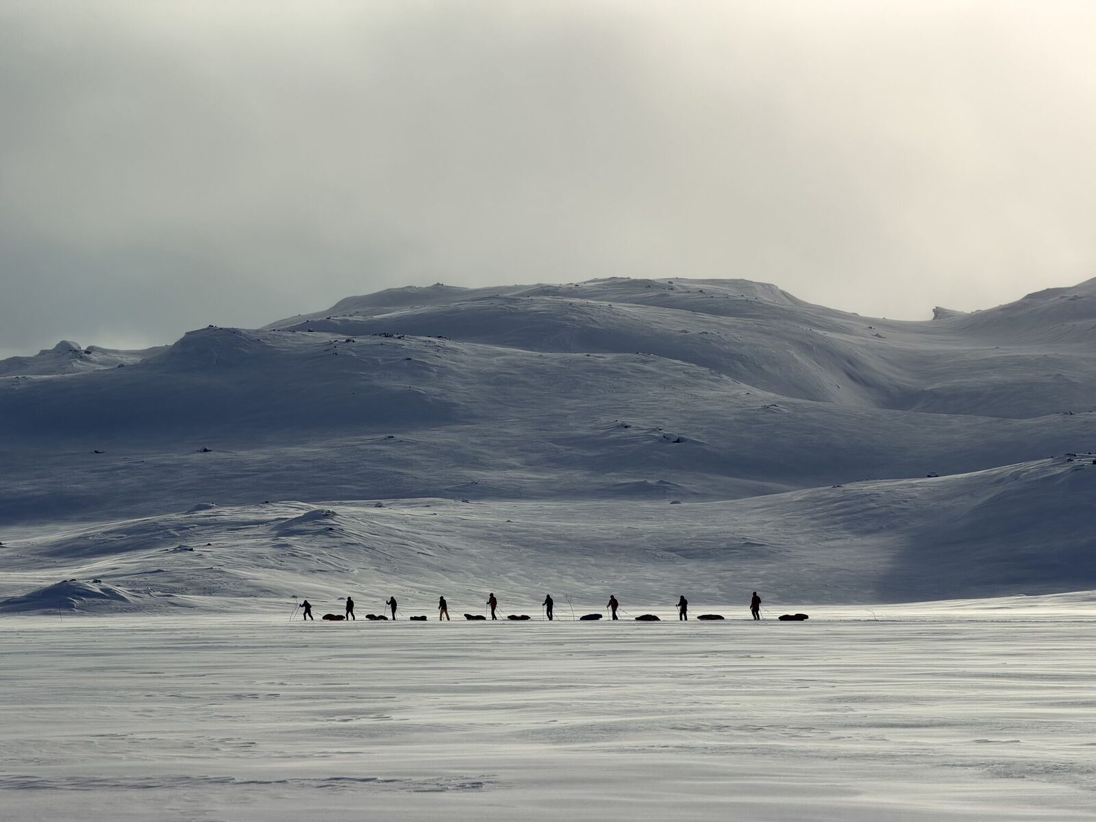 The training group breaking trail in single file with pulks in tow, Finse, Norway