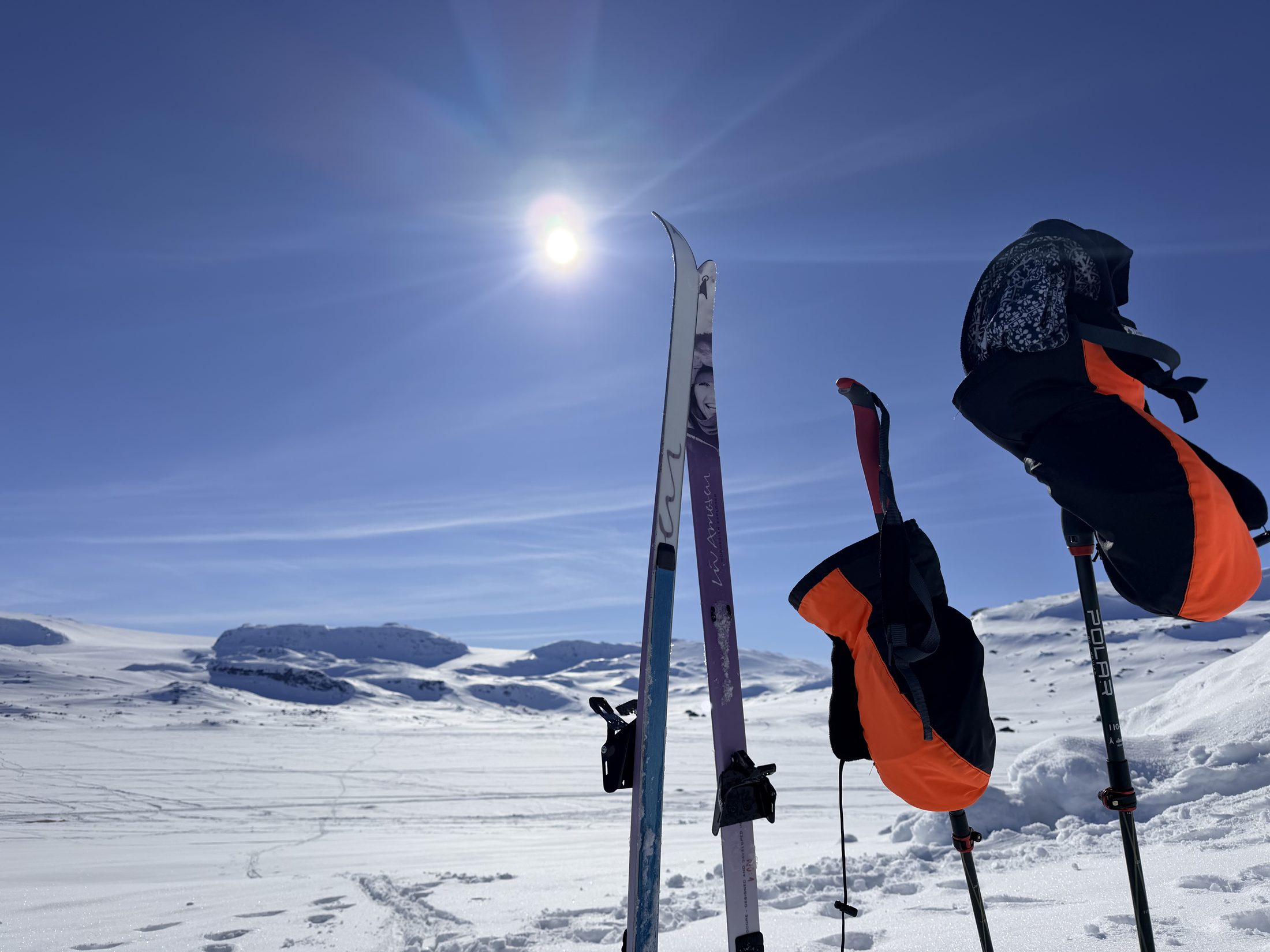 Skis and mitts planted in the snow at a polar training camp in Norway